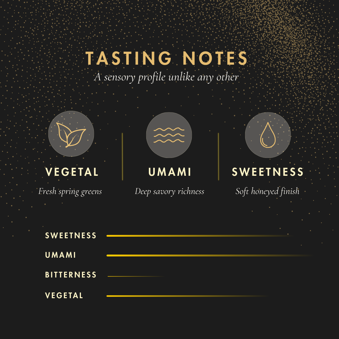 Organic Nippon Matcha Ceremonial Grade