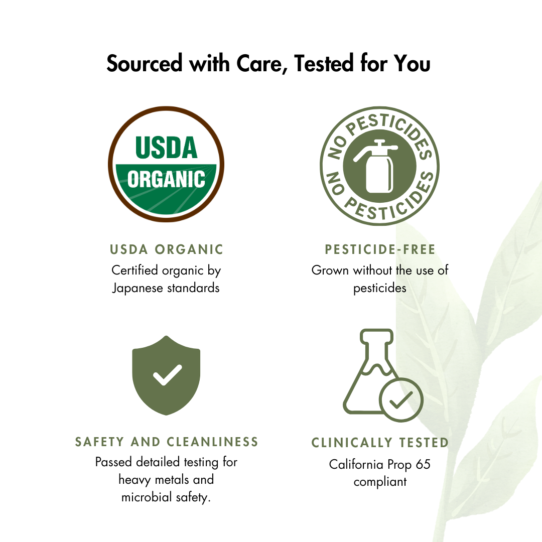 Organic Nippon Matcha 16 OZ
