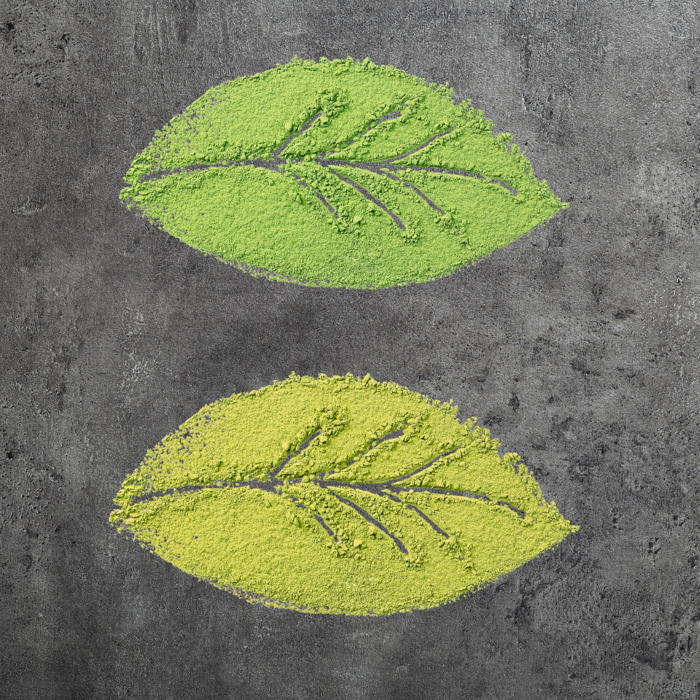 Two green leaf-shaped matcha powders on a gray textured background