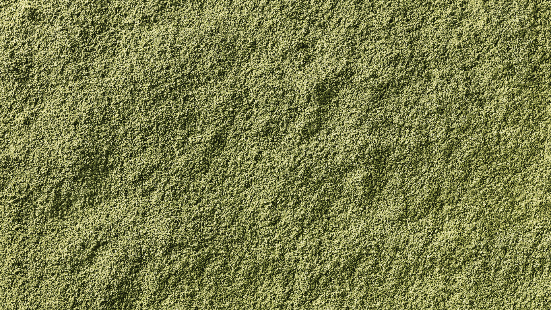Close-up of a textured green/brown surface