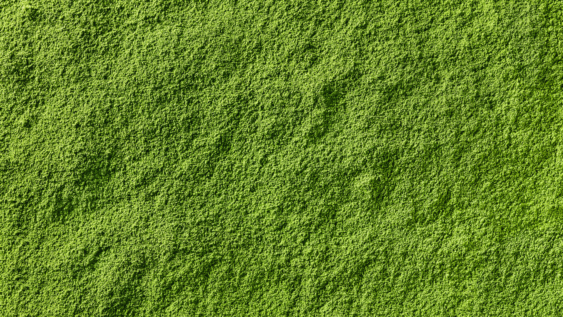 Close-up of a textured green matcha surface